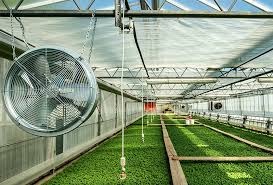 cased-axial-fans-bru-force